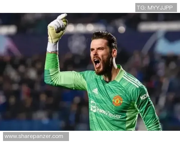 足球界第二号门将是谁他将如何影响比赛格局